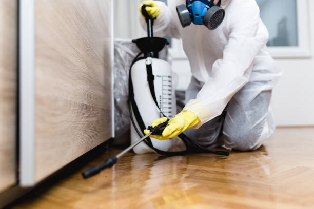 Best Emergency Pest Control  in Chevy Chase, MD