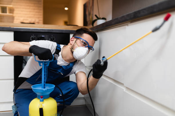 Best Affordable Pest Control Services  in Chevy Chase, MD
