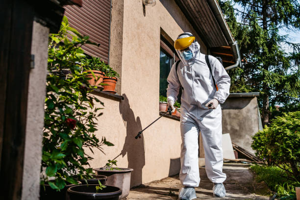 Best Affordable Pest Control Services  in Chevy Chase, MD