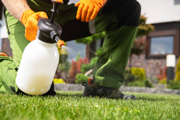 Best Bird Control  in Chevy Chase, MD