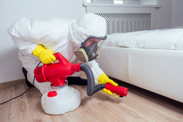 Best Termite Control Services  in Chevy Chase, MD