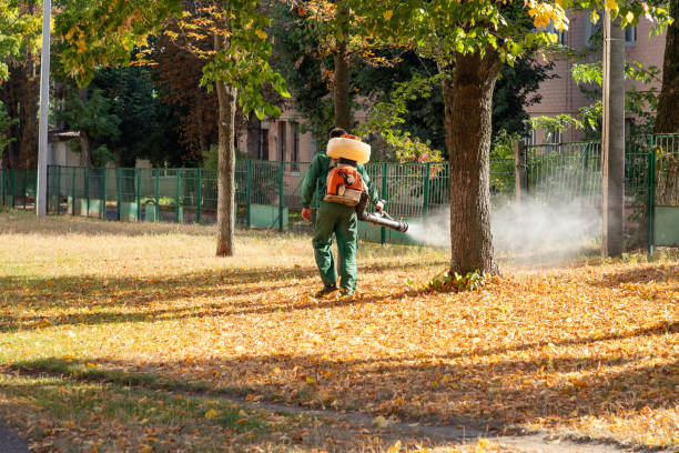 Best Pest Control Near Me in Chevy Chase, MD