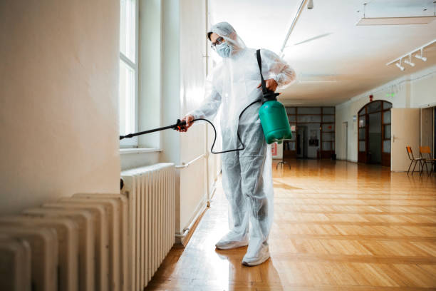 Best Insect Control  in Chevy Chase, MD